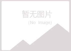 岚山区盼山律师有限公司